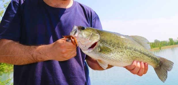 Bass Fishing Marche
